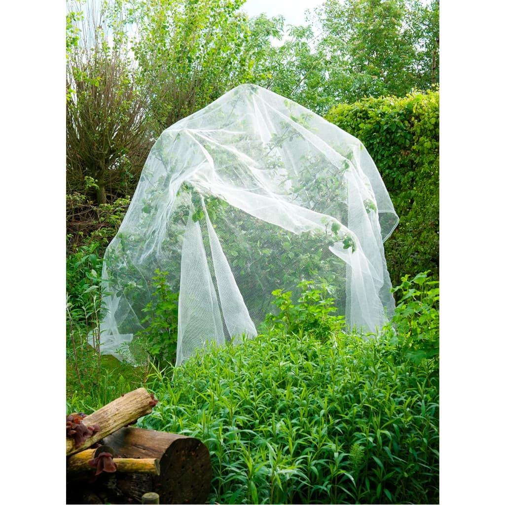 Nature Anti-Insect Net Against Codling Moth 6030450