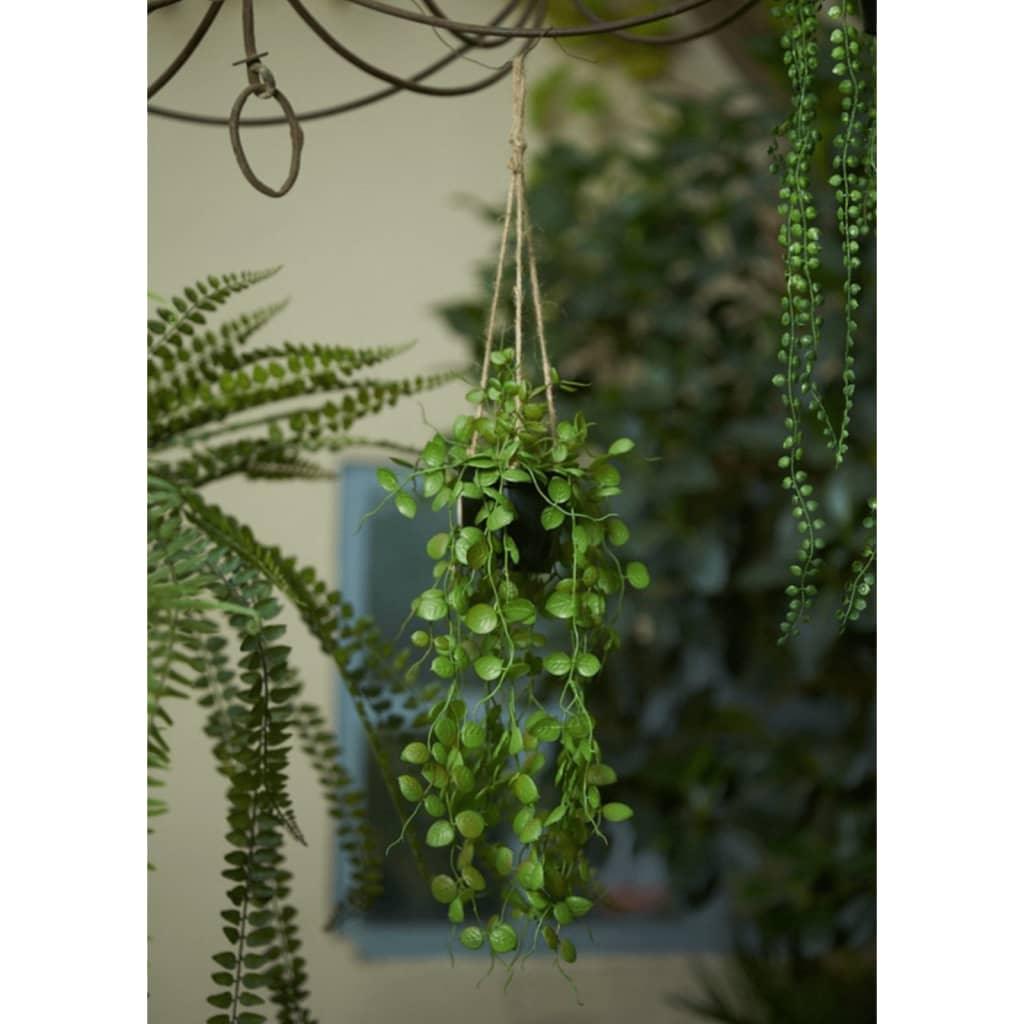 Emerald Artificial Hanging Bush In Pot 50 Cm