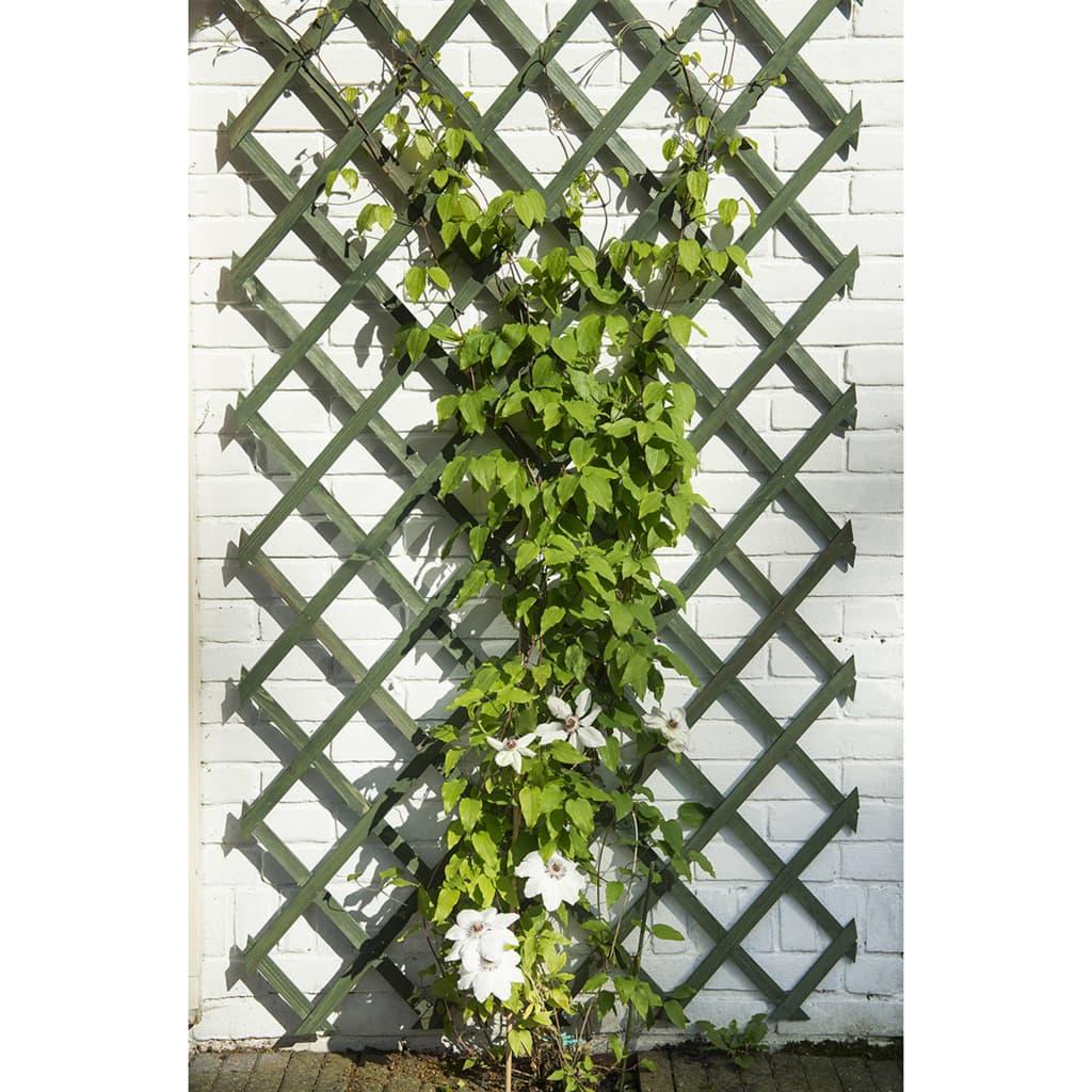 Nature 2 Pcs Garden Trellises Wood Green 50X150 Cm