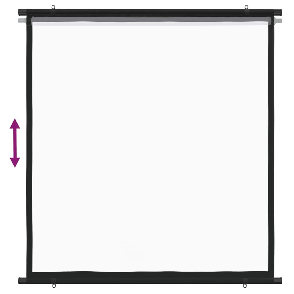 Projection Screen