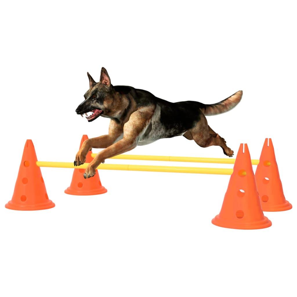 Dog Activity Obstacle Set