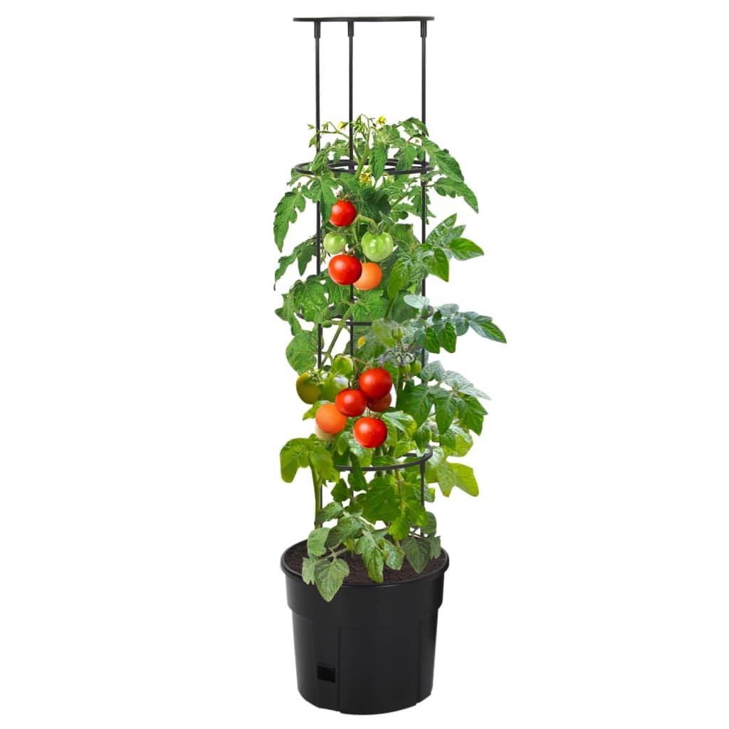 Tomato Grower Anthracite Ø29.5X115 Cm Polypropylene