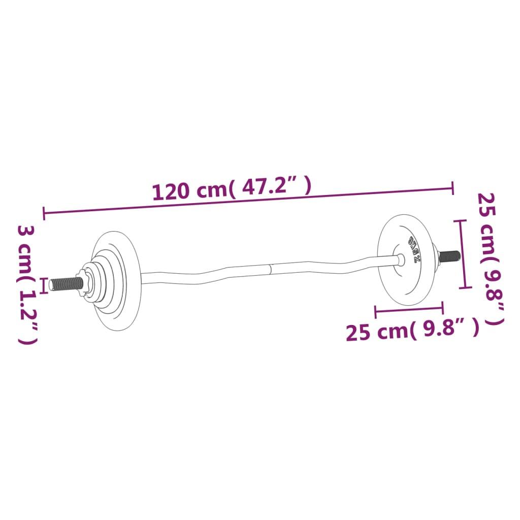 Barbell With Plates Cast Iron & Chrome Plated Steel