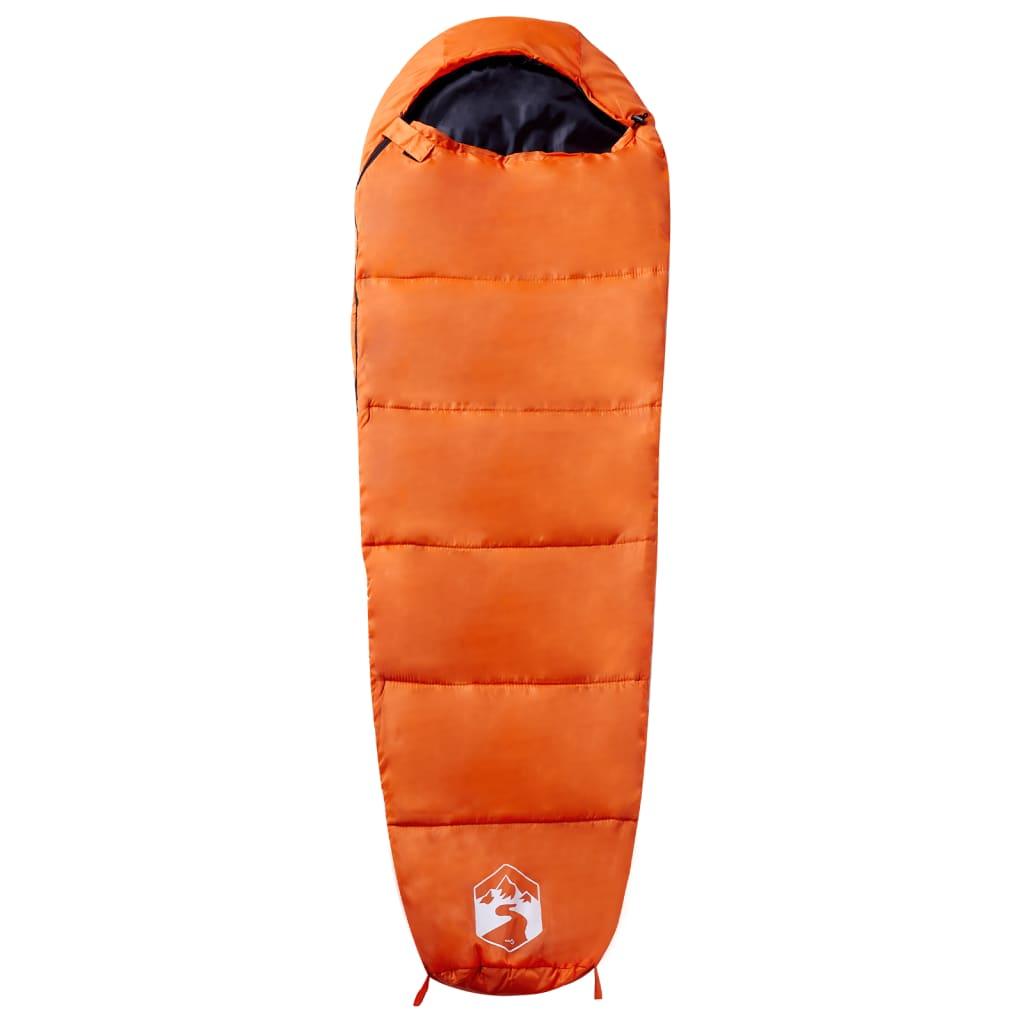 Mummy Sleeping Bag For Adults Camping 3 Seasons