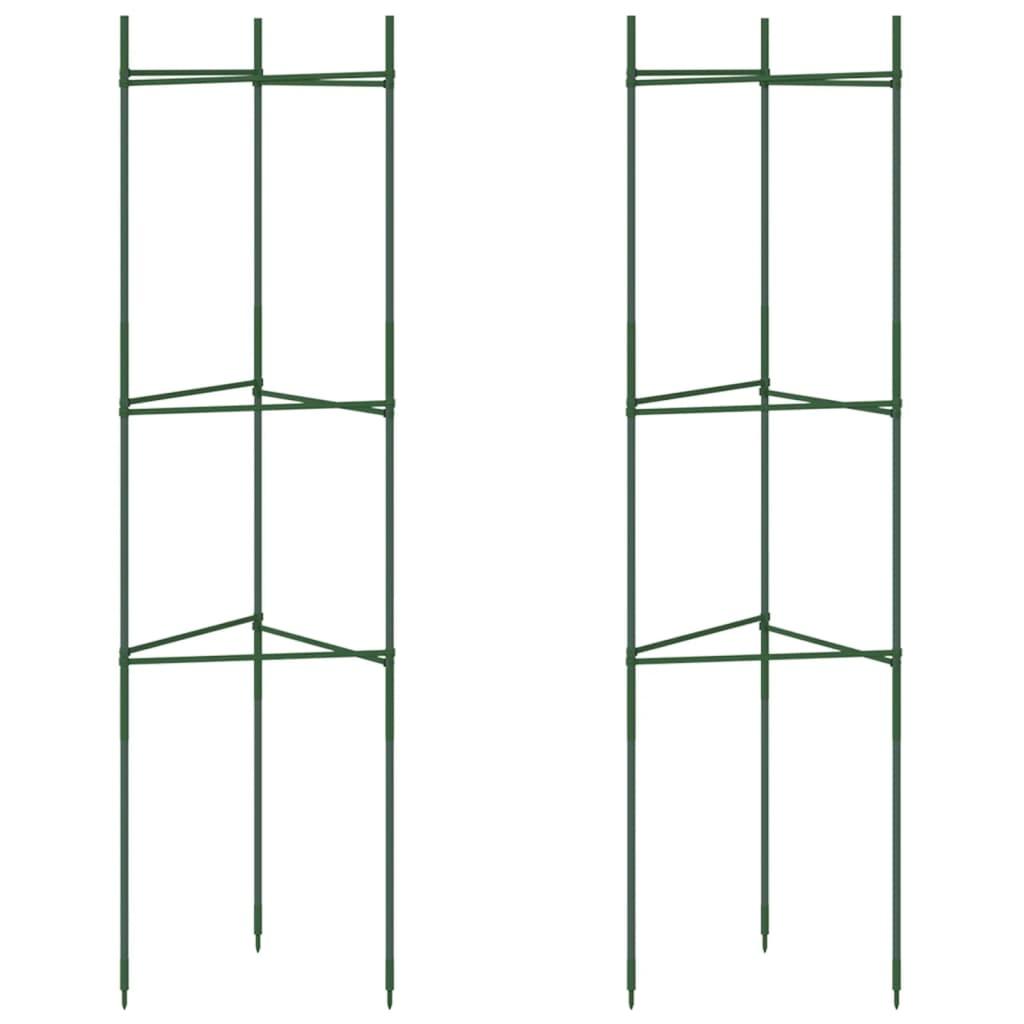 Tomato Cage 2 Pcs Steel And Pp