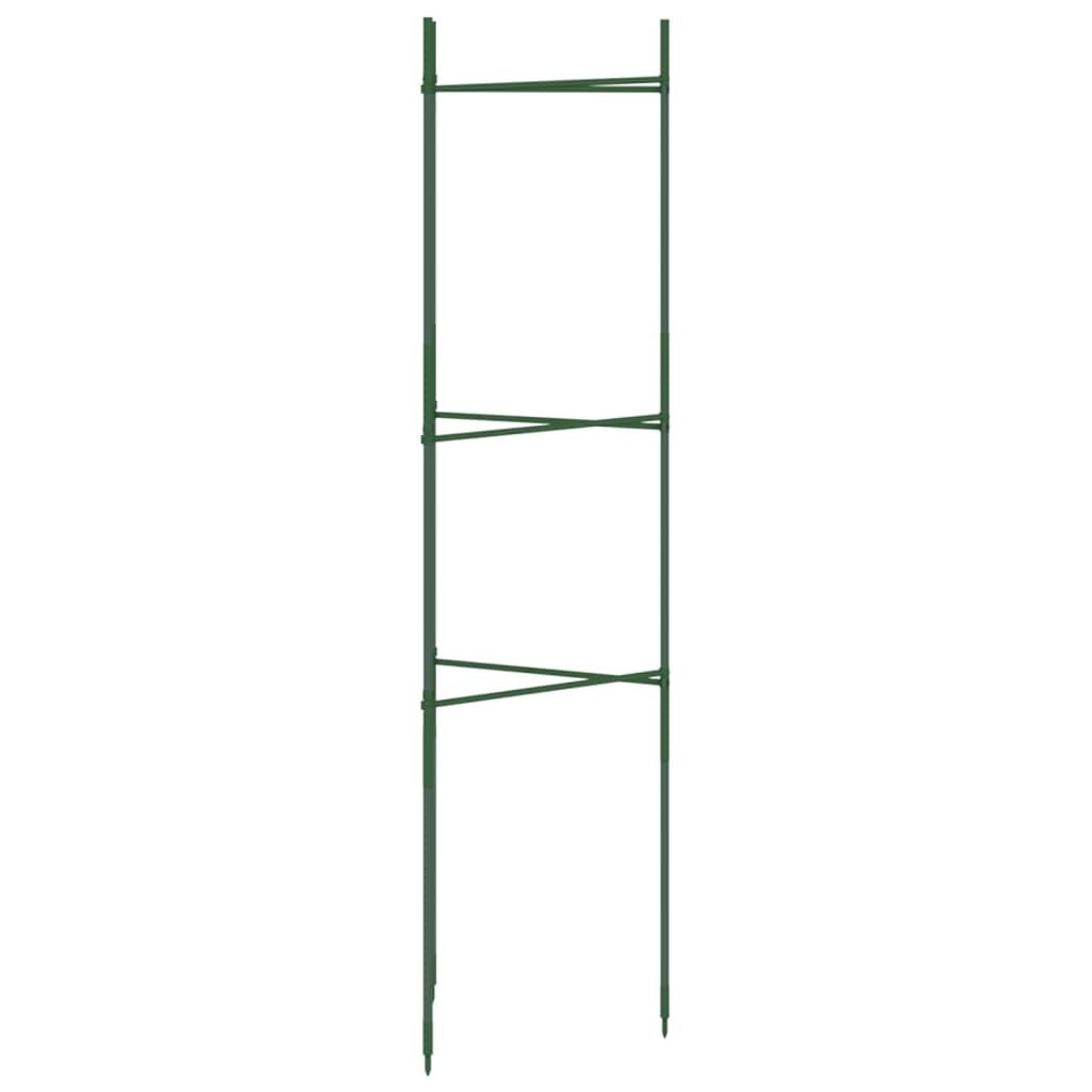 Tomato Cage 2 Pcs Steel And Pp