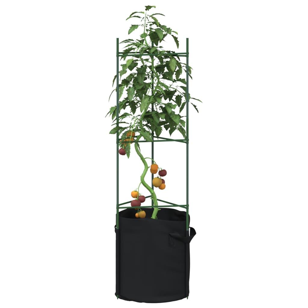 Tomato Cage 2 Pcs Steel And Pp