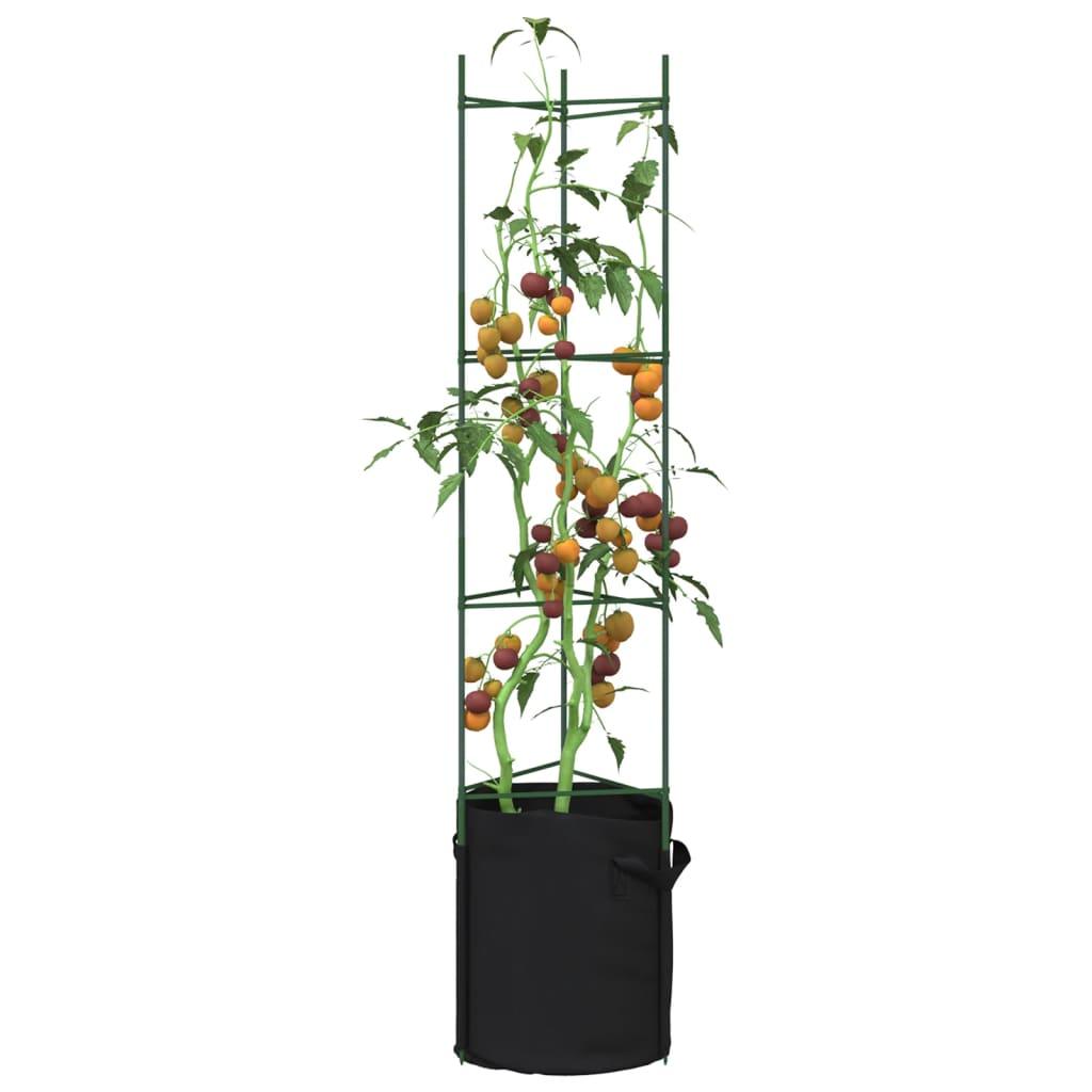 Tomato Cage 2 Pcs Steel And Pp