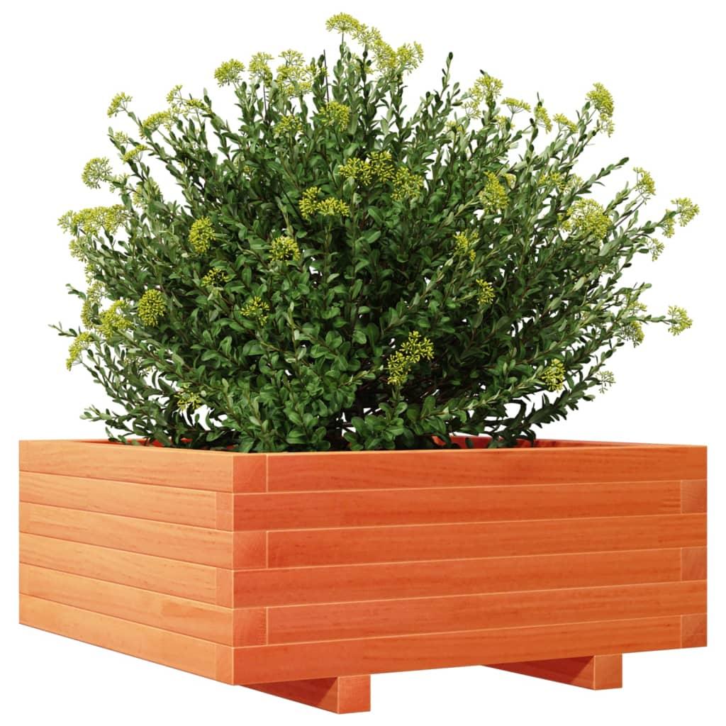 Garden Planter Wax Brown 60X60X26.5 Cm Solid Wood Pine