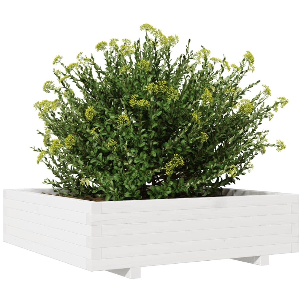 Garden Planter White 90X90X26.5 Cm Solid Wood Pine